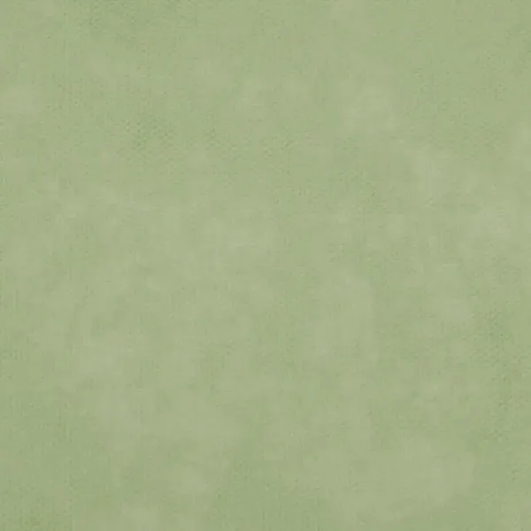 ΡΟΛΟ ΠΑΝΙ ΡΡL (NON WOVEN) ΛΑΪΜ 60cm X 18m